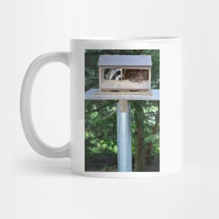 Why the songbirds don't arrive... Mug